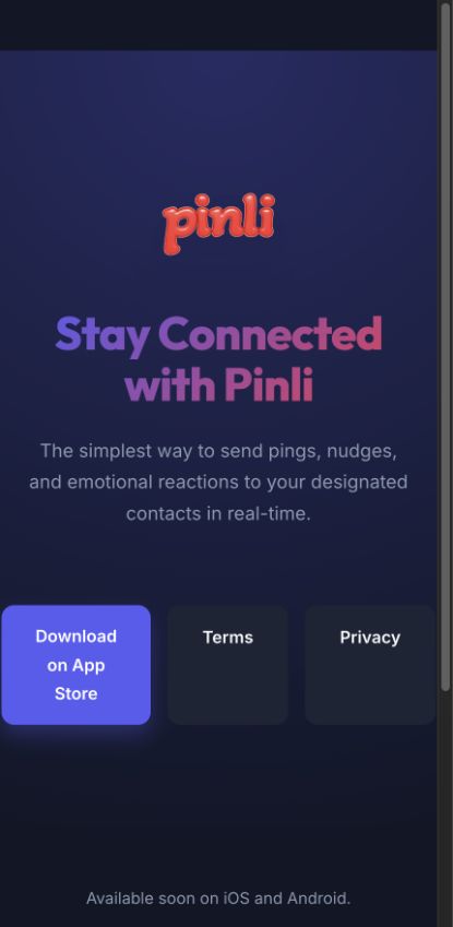 Pinli web sitesinden görünüm
